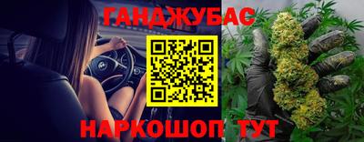 СК Новозыбков