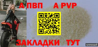 СК Новозыбков