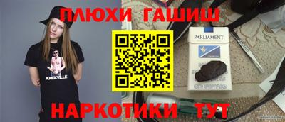 сатива Новодвинск
