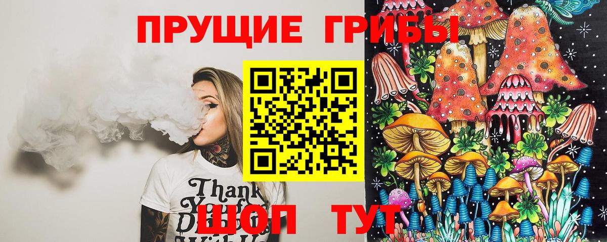 Псилоцибиновые грибы Cubensis Ступино
